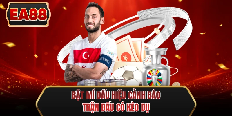 bat mi dau hieu canh bao tran dau co keo du bat mi dau hieu canh bao tran dau co keo du