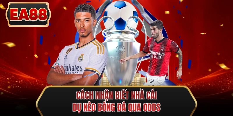 cach nhan biet nha cai du keo bong da qua odds cach nhan biet nha cai du keo bong da qua odds