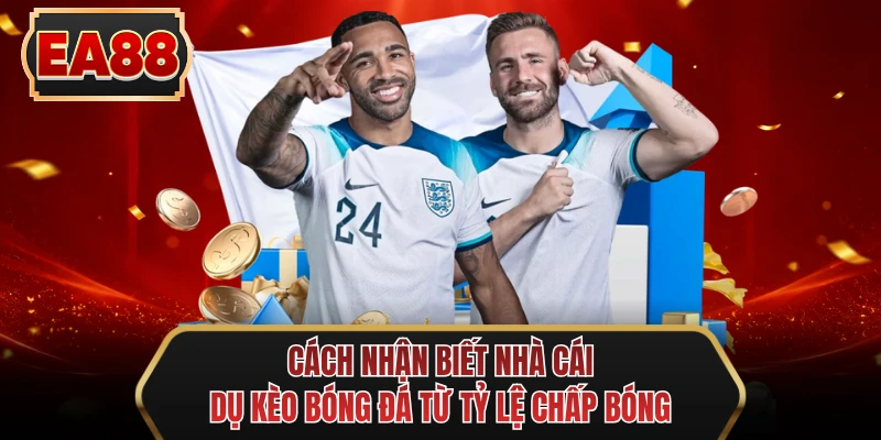 cach nhan biet nha cai du keo bong da tu ty le chap bong cach nhan biet nha cai du keo bong da tu ty le chap bong