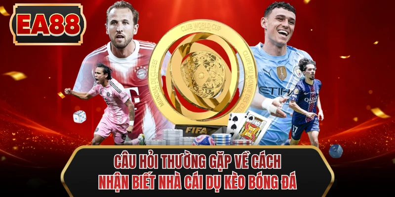 cau hoi thuong gap ve cach nhan biet nha cai du keo bong da cau hoi thuong gap ve cach nhan biet nha cai du keo bong da